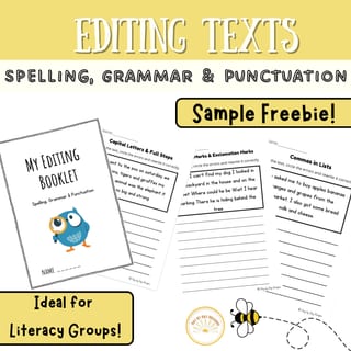 FREEBIE: Punctuation and Grammar Editing Texts Worksheets Years 2-3 - image 1 of 3