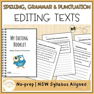 Editing Texts Worksheets | Grammar & Punctuation | Years 2 & 3 - image 1 of 3