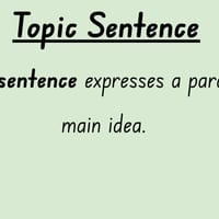 One Small Island Grammar & Writing Stage 3 NESA Unit - thumbnail 3 of 7