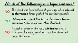 One Small Island Grammar & Writing Stage 3 NESA Unit - image 5 of 7