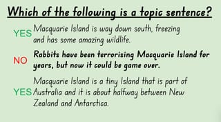 One Small Island Grammar & Writing Stage 3 NESA Unit - image 4 of 7