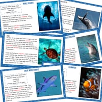 SCIENCE OF READING COMPREHENSION PACK: ANIMALS - GROWING BUNDLE - thumbnail 5 of 5
