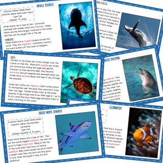 SCIENCE OF READING COMPREHENSION PACK: ANIMALS - GROWING BUNDLE - image 5 of 5