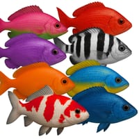 Colourful Fish - Dynamic Icons for Language Teachers - thumbnail 1 of 1