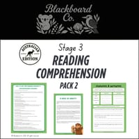 Stage 3 Reading Comprehension Pack 2 (Unexplained Mysteries) - thumbnail 1 of 7