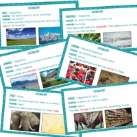 WHOLE CLASS READING: POLAR ANIMALS - SCIENCE OF READING ALIGNED - thumbnail 3 of 5