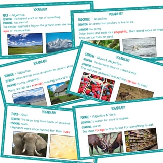 WHOLE CLASS READING: POLAR ANIMALS - SCIENCE OF READING ALIGNED - image 3 of 5