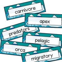 WHOLE CLASS READING: POLAR ANIMALS - SCIENCE OF READING ALIGNED - thumbnail 5 of 5