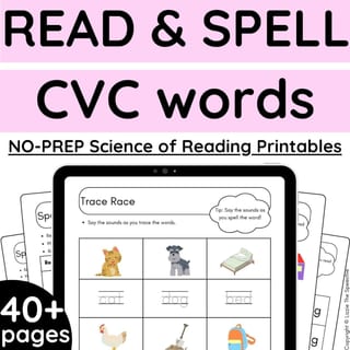 Science of Reading / Synthetic Phonics CVC Read & Spell Words to Sentences - image 1 of 3
