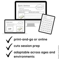 Science of Reading / Synthetic Phonics CVC Read & Spell Words to Sentences - thumbnail 3 of 3