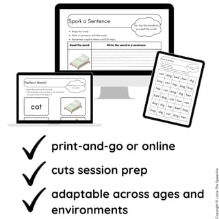 Science of Reading / Synthetic Phonics CVC Read & Spell Words to Sentences - image 3 of 3