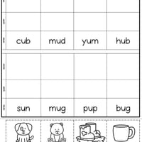 CVC Words - Cut, Read, Paste and Spell Worksheet Package - thumbnail 5 of 6