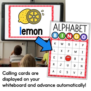 Alphabet BINGO Game Identifying Letters Find the Letter Upper & Lower Case Match - image 2 of 4