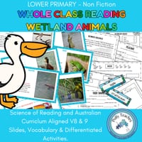 WHOLE CLASS READING - WETLAND ANIMALS. SCIENCE OF READING ALIGNED - thumbnail 1 of 4