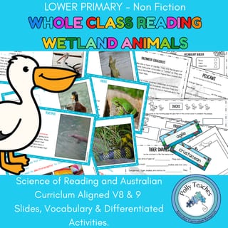 WHOLE CLASS READING - WETLAND ANIMALS. SCIENCE OF READING ALIGNED - image 1 of 4