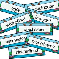 WHOLE CLASS READING - WETLAND ANIMALS. SCIENCE OF READING ALIGNED - thumbnail 4 of 4