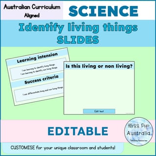 Living Things Daily Review Slides | Foundation – Year 3 | Australian Curriculum | Warm Up Biology - image 3 of 4