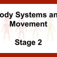 Body Systems and Movement - Stage 2 Science. NSW Curriculum.