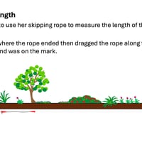 Length Year 3 - thumbnail 2 of 6