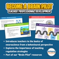 Become a Brain Pilot: Teacher Professional Development - thumbnail 1 of 1