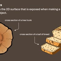 Cross Sections Year 6 - thumbnail 2 of 6