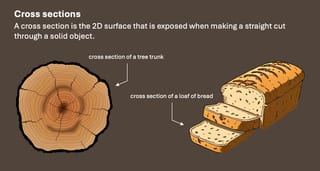 Cross Sections Year 6 - image 2 of 6