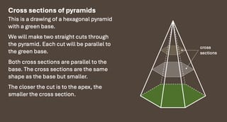 Cross Sections Year 6 - image 4 of 6
