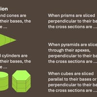 Cross Sections Year 6 - thumbnail 6 of 6