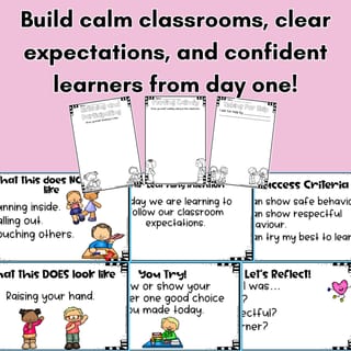 Explicit Behaviour & Routine Lessons | Junior Primary (F–2) | Student Wellbeing - image 2 of 3