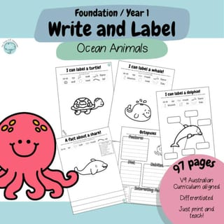 Foundation & Year 1 V9 - Differentiated Information Writing - Ocean Animals - image 1 of 4