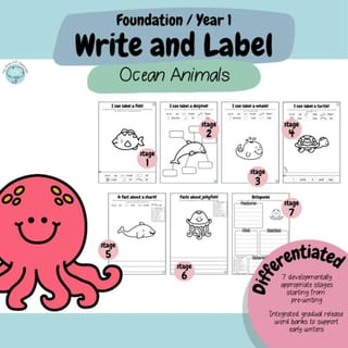 Foundation & Year 1 V9 - Differentiated Information Writing - Ocean Animals - image 2 of 4