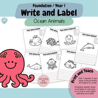 Foundation & Year 1 V9 - Differentiated Information Writing - Ocean Animals - image 4 of 4