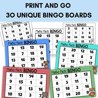 Maths Facts Bingo Game – Addition, Subtraction, Doubles to 20 | Maths Fluency - image 4 of 5