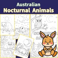 Australian Nocturnal Animals Colouring Pages
