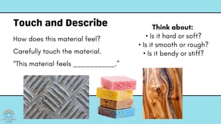 Stage 1 Year 1 Science – Materials and Their Properties - NSW Science & Technology (2024) - image 4 of 7
