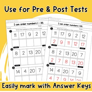Foundation Number & Algebra Math Worksheet & Assessment Pack - image 3 of 4