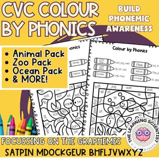 Review CVC words, Decode & Build Phonemic Awareness | Colour by Code Phonics - image 1 of 4
