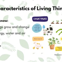 Stage 2 Science Unit 1: Earth’s Systems & Living Things. Lessons 1-10 **NEW SYLLABUS** - thumbnail 7 of 7