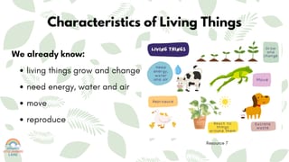 Stage 2 Science Unit 1: Earth’s Systems & Living Things. Lessons 1-10 **NEW SYLLABUS** - image 7 of 7