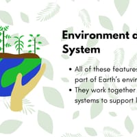 Stage 2 Science Unit 1: Earth’s Systems & Living Things. Lessons 1-10 **NEW SYLLABUS** - thumbnail 3 of 7