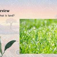 Early Stage 1 HSIE – Unit 1 Lessons 1-10 | People Are Connected to Places | **NEW SYLLABUS** - thumbnail 4 of 6