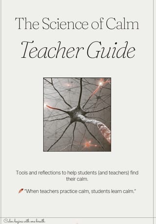 Calm Classroom Toolkit - image 7 of 7