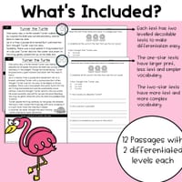 R Controlled Vowels Reading Comprehension Passages and Questions | Decodable | Science of Reading - thumbnail 2 of 4
