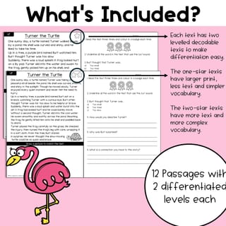 R Controlled Vowels Reading Comprehension Passages and Questions | Decodable | Science of Reading - image 2 of 4
