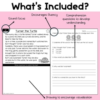 R Controlled Vowels Reading Comprehension Passages and Questions | Decodable | Science of Reading - image 3 of 4