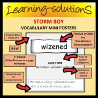 STORM BOY - 66 Mini Posters for Vocabulary Development - thumbnail 1 of 1