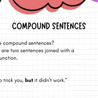 Year 1 Persuasive Writing Unit | Stage 1 Persuasive | Don’t Let the Pigeon Drive the Bus | 10 Lesson - thumbnail 7 of 8