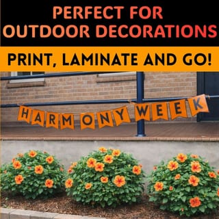 Harmony Week Bunting Display | Harmony Day Bulletin Board Lettering Display - image 4 of 4