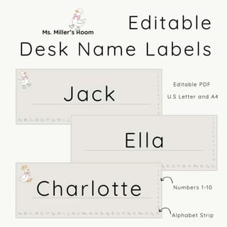 Desk Name Labels | Duck Mascot | Plain and Minimal - image 1 of 4