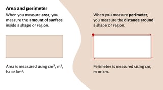 Area and Perimeter Year 5 - image 2 of 6